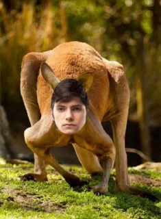 на открытом воздухе трава дерево