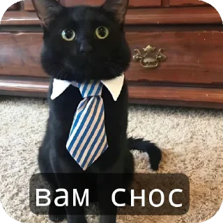 Sticker @snn3s | Memes edition - 6