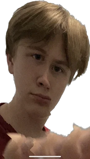 Sticker Delfinahab - 1