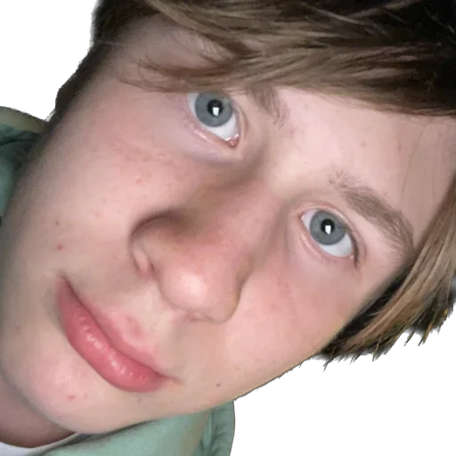 Sticker Delfinahab - 1