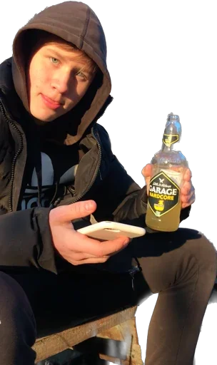 Sticker Delfinahab - 1