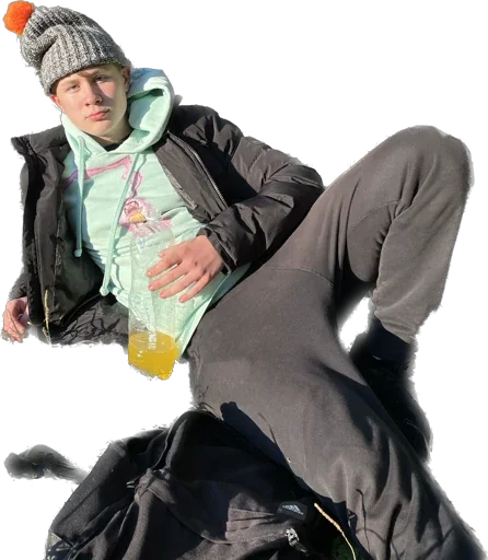 Sticker Delfinahab - 1