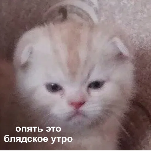 Стикер Dem103 - 1