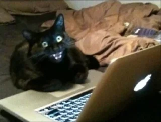 Стикер Моё сокровище - 6