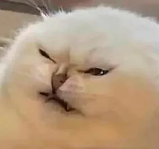 Стикер Моё сокровище - 11