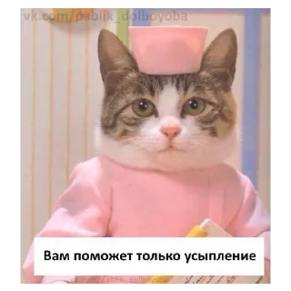 Стикер 🐁❤️ - 11