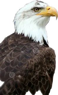 Стикер Демократия - 3