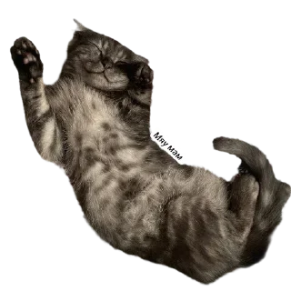 Sticker Демон - 1