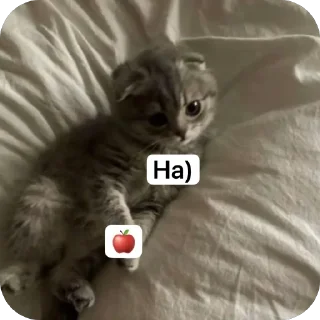 Стикер Ден4ик - 1