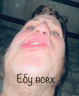 Стикер Berloga - 10