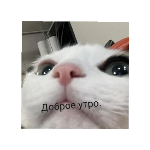 Sticker День/ ночь - 11