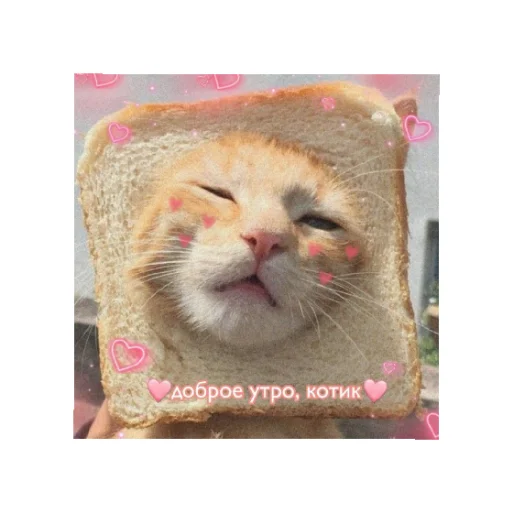 Sticker День/ ночь - 8