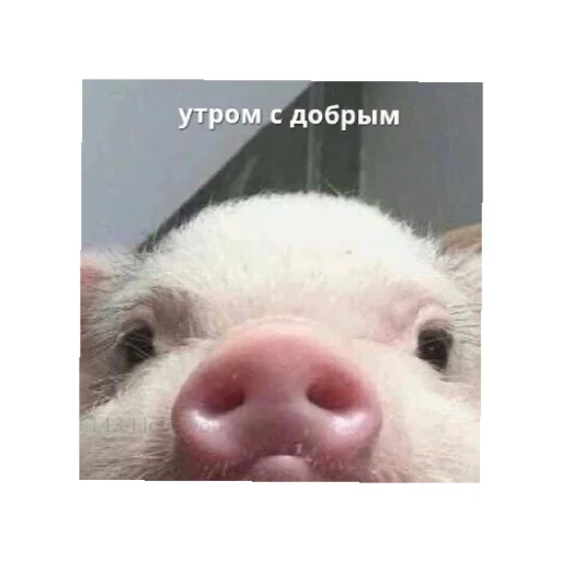 Sticker День/ ночь - 6