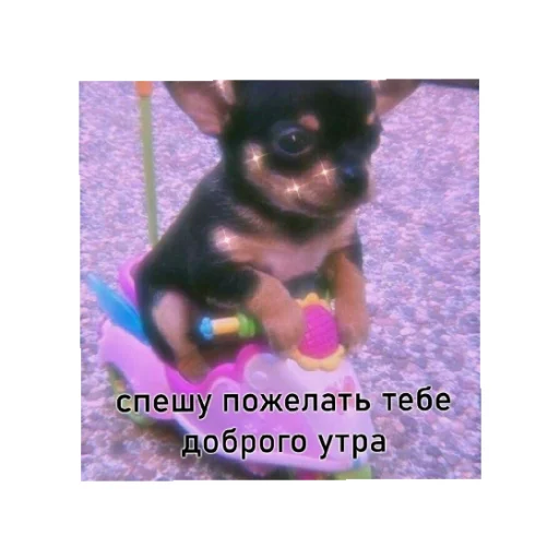 Sticker День/ ночь - 4