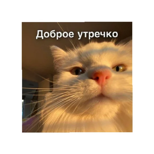 Sticker День/ ночь - 2