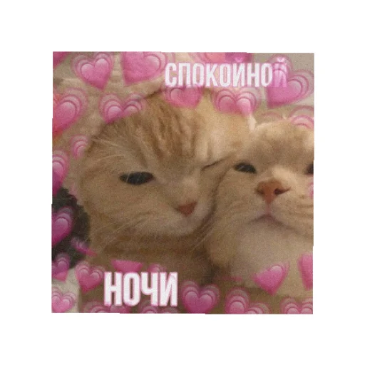 Sticker День/ ночь - 0