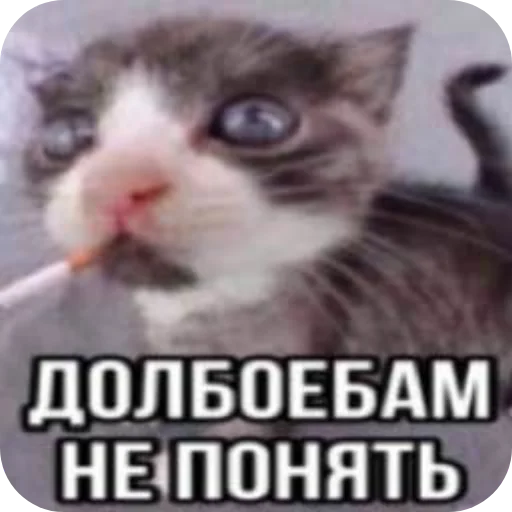 Sticker Denchik_slazaet - 1