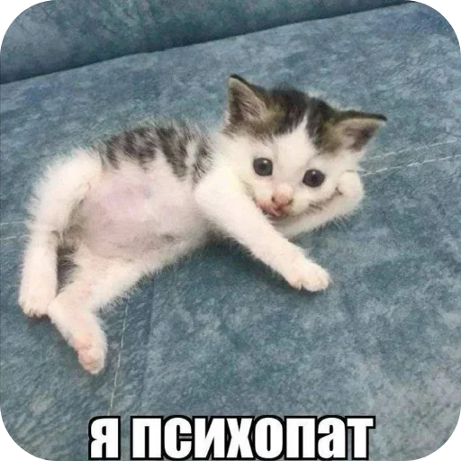 Стикер Denchik_slazaet - 1