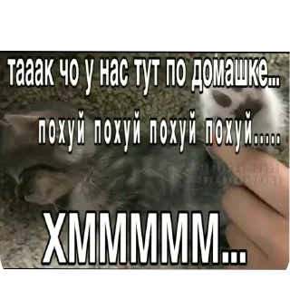 Sticker Денчик слазает - 9