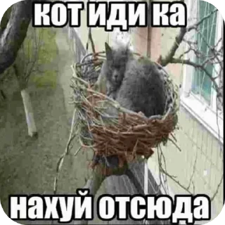 Sticker Денчик слазает - 8