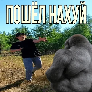 Sticker Денис Дынев - 9