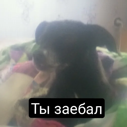 Sticker Фотомем пак - 10