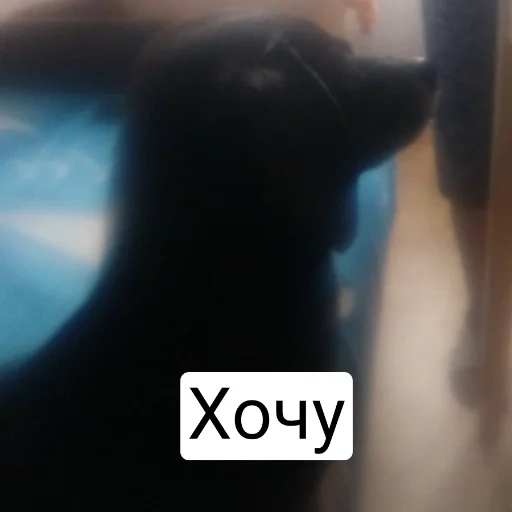 Sticker Фотомем пак - 9