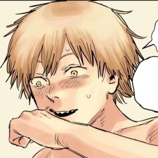 Denji [@CaptainRivaille] - 