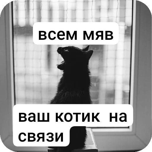 Депрессивный котик - 