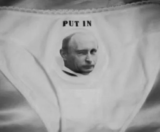 одежда трусы черно-белый