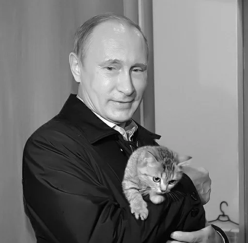 млекопитающее Человек животное