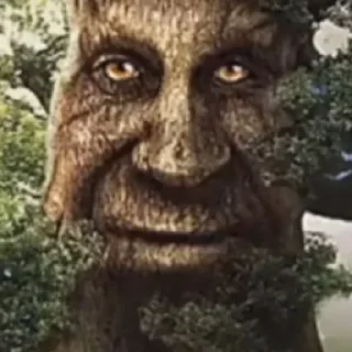 Стикер Дерево - 10