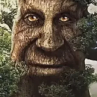 Стикер Дерево - 6