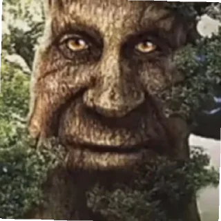 Стикер Дерево - 9