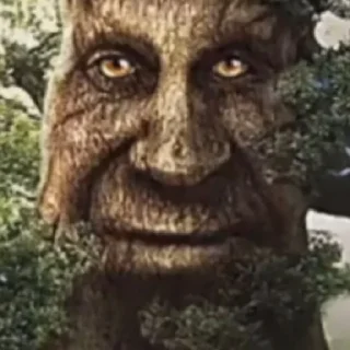 Стикер Дерево - 3