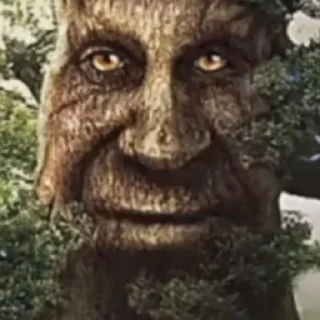 Стикер Дерево - 4