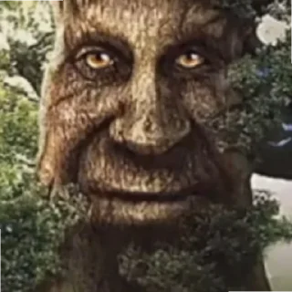 Стикер Дерево - 11