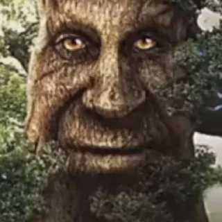 Стикер Дерево - 2