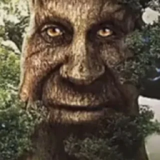 Стикер Дерево - 0