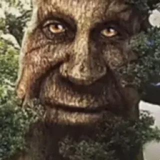 Стикер Дерево - 8