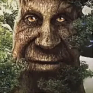 Стикер Дерево - 5