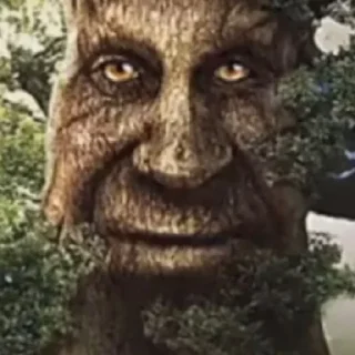 Стикер Дерево - 7