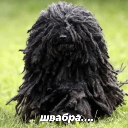 Стикер Лол 2.0 :: @fStikBot - 6