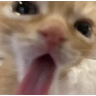 Sticker Крысиный - 10