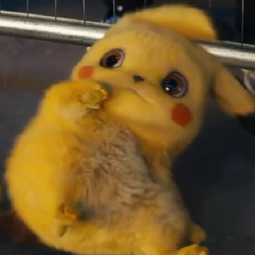 toy duck stuffed toy