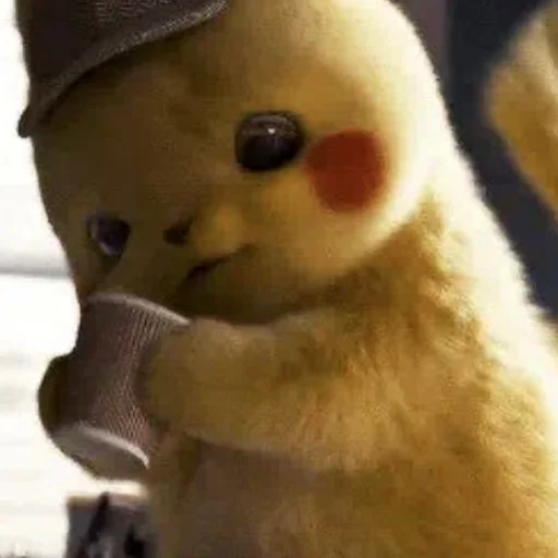 toy stuffed toy plush