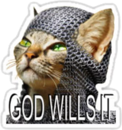 животное кошка млекопитающее