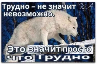 Стикер девочки как дела девочки - 1