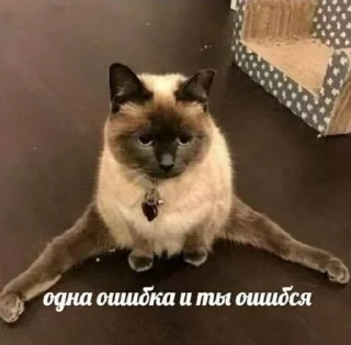 Стикер девочки как дела девочки - 7