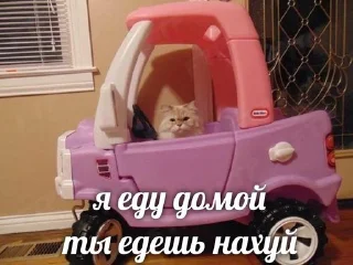 Стикер девочки как дела девочки - 8